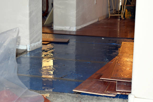 Professional Burst Pipe Cleanup technician working in Waller, TX